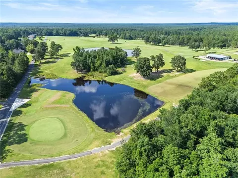 79 Whitetail Run, Chatom, AL 36518 photo 81