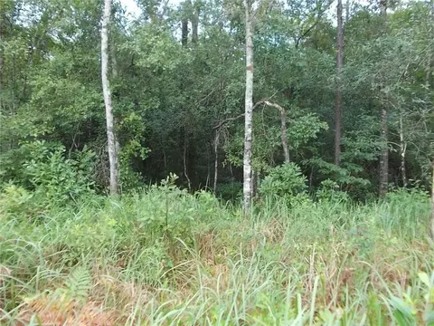 0 Boothtown Rd, Citronelle, AL 36522