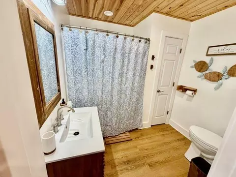Bath - 15490 Green Dr, Coden, AL 36523 photo 4 of 7