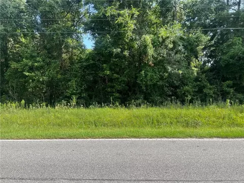 0 Riviere Du Chien Rd, Mobile, AL 36693