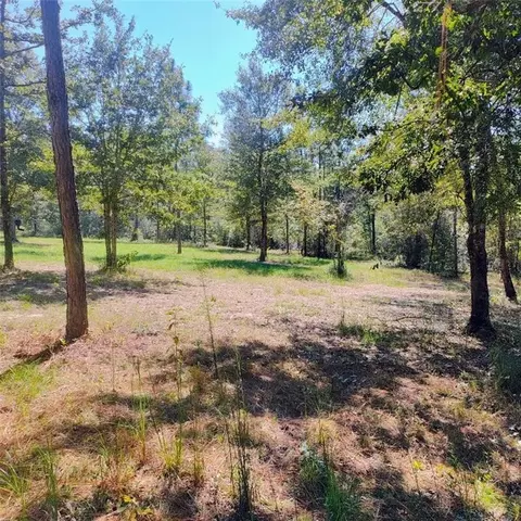 0 Sam Lewis Rd, Wilmer, AL 36522