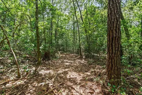Other - 0 River Forest Dr, Mobile, AL 36605 photo 4 of 4