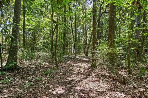 Exterior - 0 River Forest Dr, Mobile, AL 36605 photo 1 of 5
