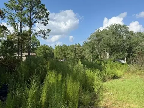 15292 Celeste Rd, Chunchula, AL 36521 photo 7