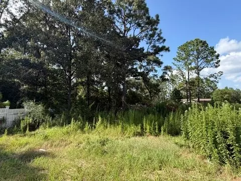 15292 Celeste Rd, Chunchula, AL 36521 photo 6