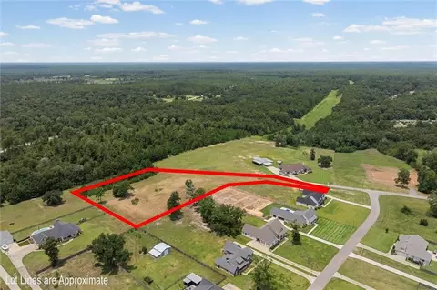 View/Area - 0 Deer Crest Ln E, Mobile, AL 36695 photo 3 of 13