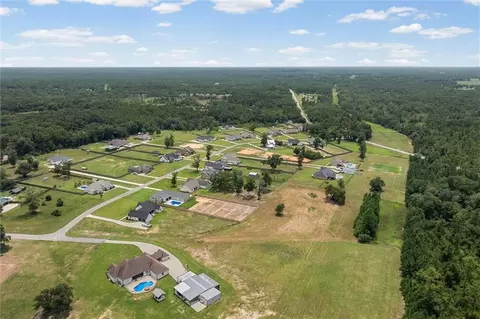 View/Area - 0 Deer Crest Ln E, Mobile, AL 36695 photo 8 of 13