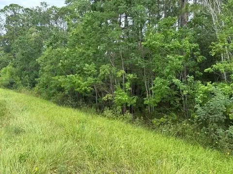 0 Highway 188, Coden, AL 36523 photo 4