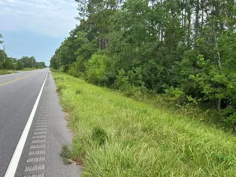 0 Highway 188, Coden, AL 36523 photo 3