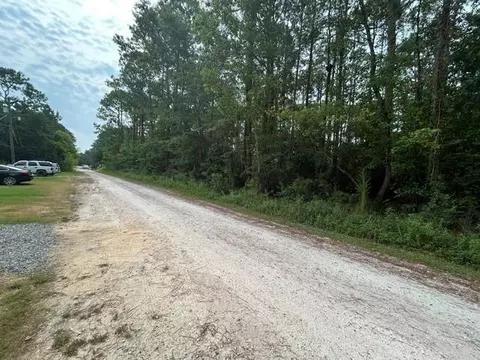 0 Highway 188, Coden, AL 36523 photo 2