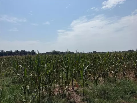 0 Grand Bay-wilmer Rd, Mobile, AL 36608