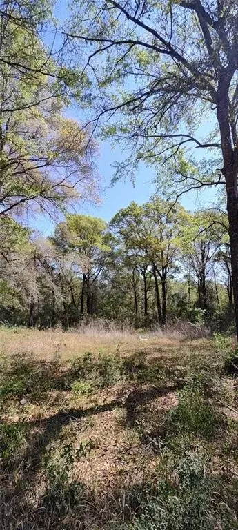 4710 John Sims Rd E, Wilmer, AL 36587