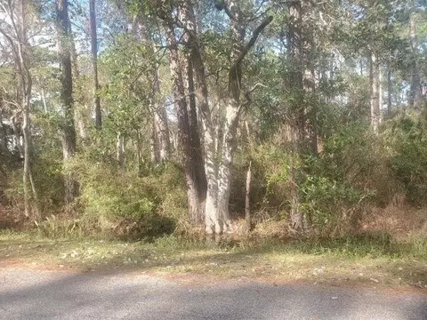 228 Chenault Ave, Dauphin Island, AL 36528