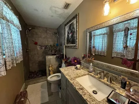 Bath - 10575 Thomas Rd, Theodore, AL 36582 photo 3 of 5