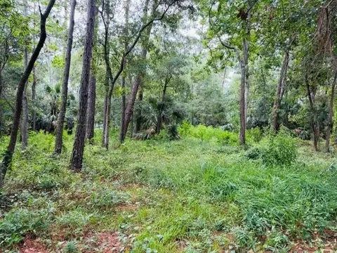 0 La Coste Ct, Dauphin Island, AL 36528