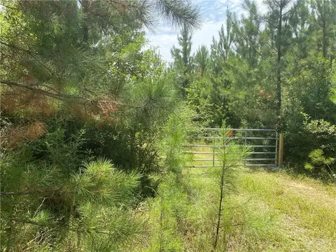 0 Salco Rd, Axis, AL 36505 photo 2
