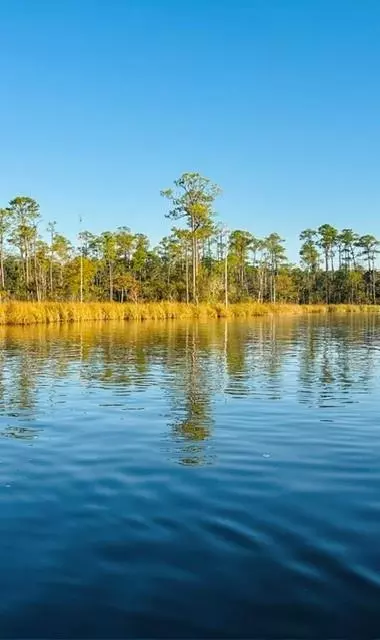 0 Cedar Trce, Mobile, AL 36582 photo 2