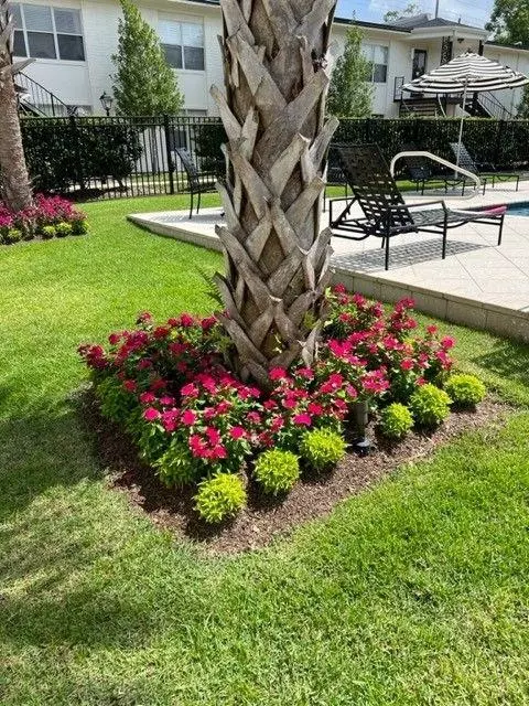 Exterior - 4009 Old Shell Rd #C3, Mobile, AL 36608 photo 9 of 10