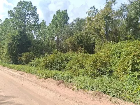0 Marbels Rd, Grand Bay, AL 36541