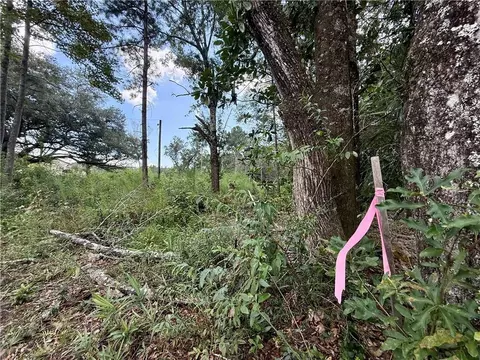 4265 Furman Dr, Mobile, AL 36619 photo 3