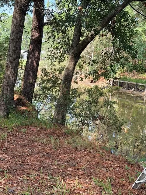 View/Area - 15385 Delta Port Blvd, Coden, AL 36523 photo 12 of 12