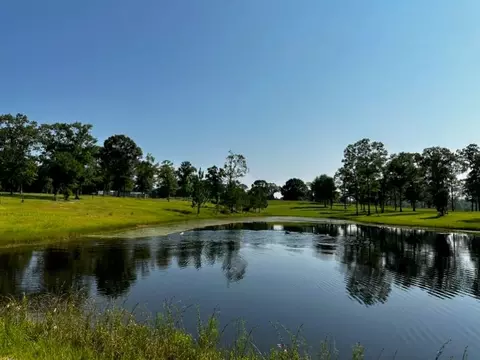 11700 Earl Booth Rd, Citronelle, AL 36522