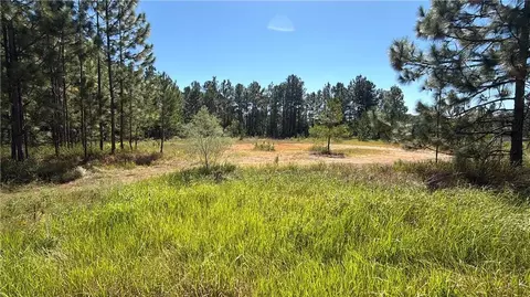0 Schillinger Rd S, Mobile, AL 36695 photo 5
