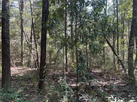 0 Riley St, Mobile, AL 36608 photo 3