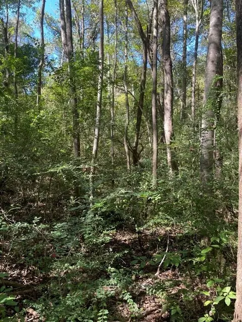 0 Riley St, Mobile, AL 36608 photo 19