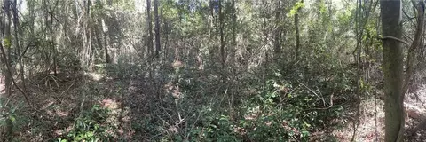 0 Riley St, Mobile, AL 36608 photo 8