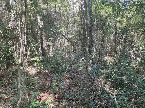0 Riley St, Mobile, AL 36608 photo 13