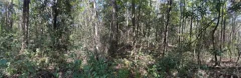0 Riley St, Mobile, AL 36608 photo 10
