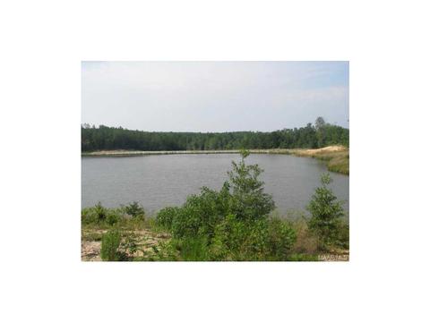 2624 Hannah Dr, Deatsville, AL 36022