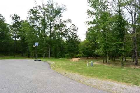 50 River Stone Ct, Eclectic, AL 36024 photo 1