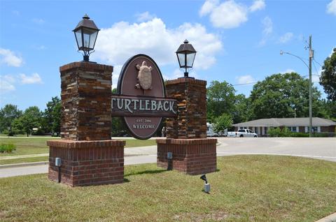 300 Turtleback Trl, Enterprise, AL 36330 photo 1