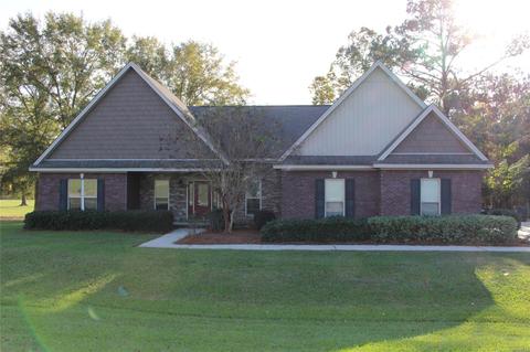 337 Chesson Hill Ct, Fitzpatrick, AL 36029 photo 1