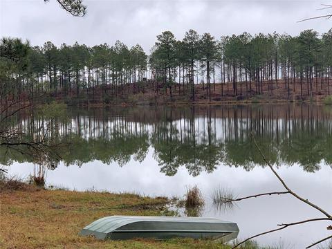 18787 Old Pike Rd, Fitzpatrick, AL 36029 photo 1