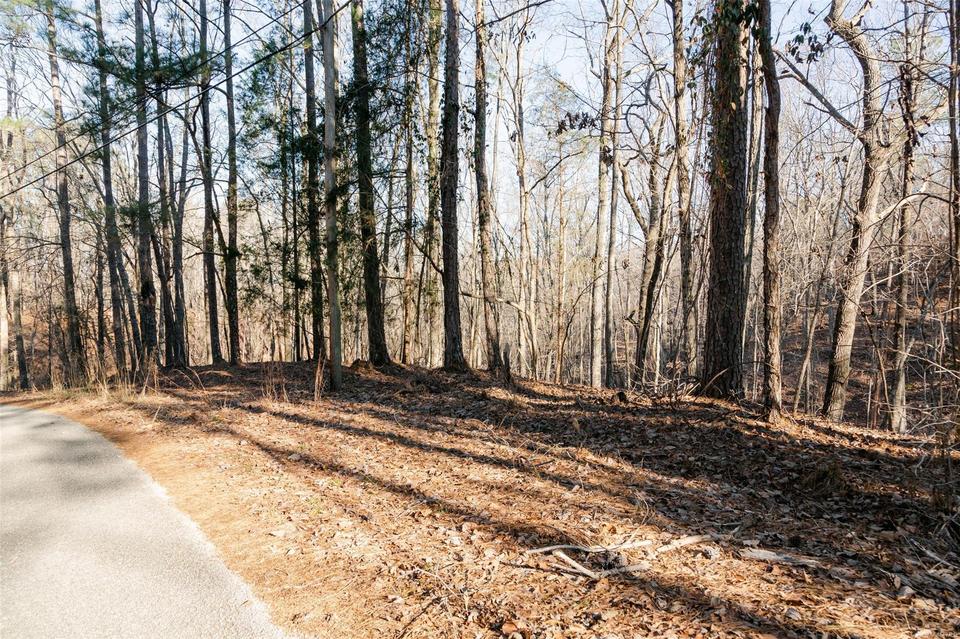 0 Bald Knob Rd, Wetumpka, AL 36092 10 Photos MLS 510046 Movoto