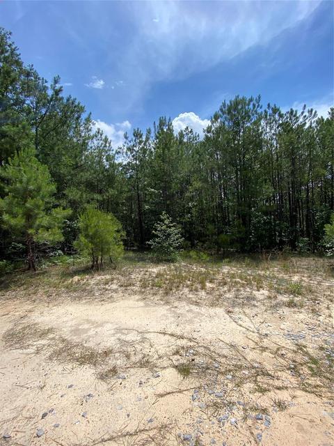 0 Hwy 143 Hwy, Marbury, AL 36051