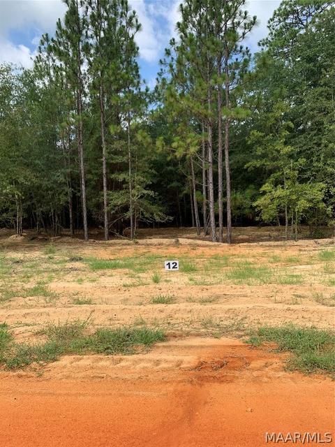 Lot 16 Deer Loop, Camden, AL 36726 photo 2