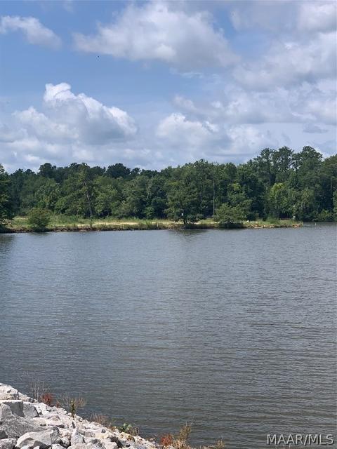 Lot 16 Deer Loop, Camden, AL 36726 photo 6