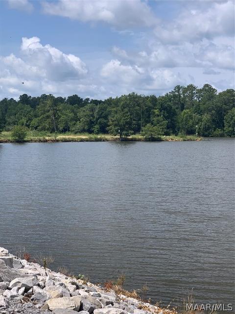 Lot 16 Deer Loop, Camden, AL 36726 photo 4