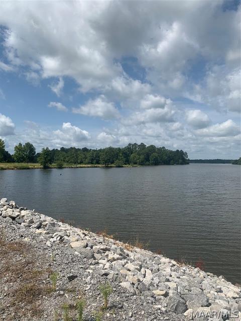 Lot 16 Deer Loop, Camden, AL 36726 photo 5