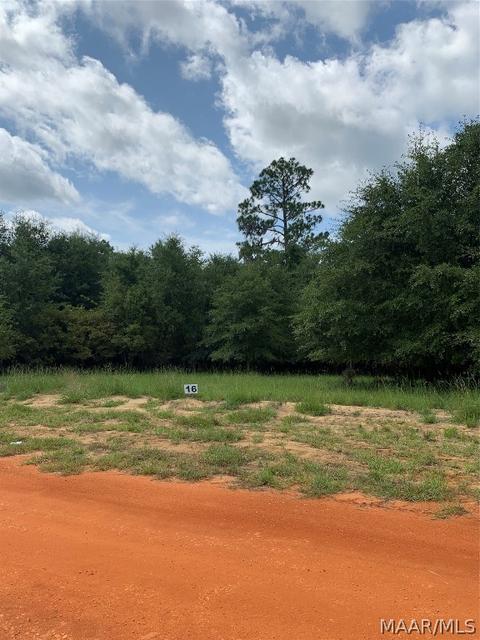 Lot 16 Deer Loop, Camden, AL 36726 photo 3