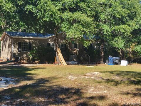 343 Pineview Ln, Samson, AL 36477 photo 1