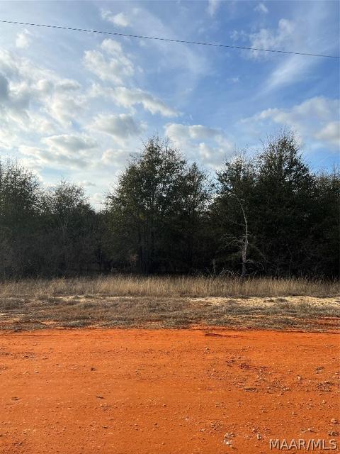Lot 22 Deer Loop, Camden, AL 36726