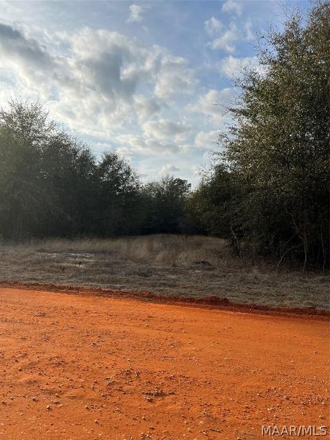 lot23 Deer Loop, Camden, AL 36726