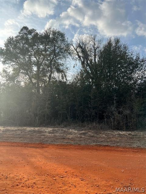 lot35 Deer Loop, Camden, AL 36726