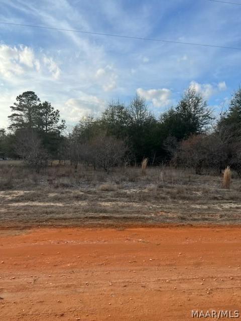 lot44 Deer Loop, Camden, AL 36726