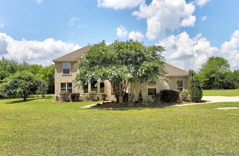 47 Bramble Pass, Cecil, AL 36013 photo 1